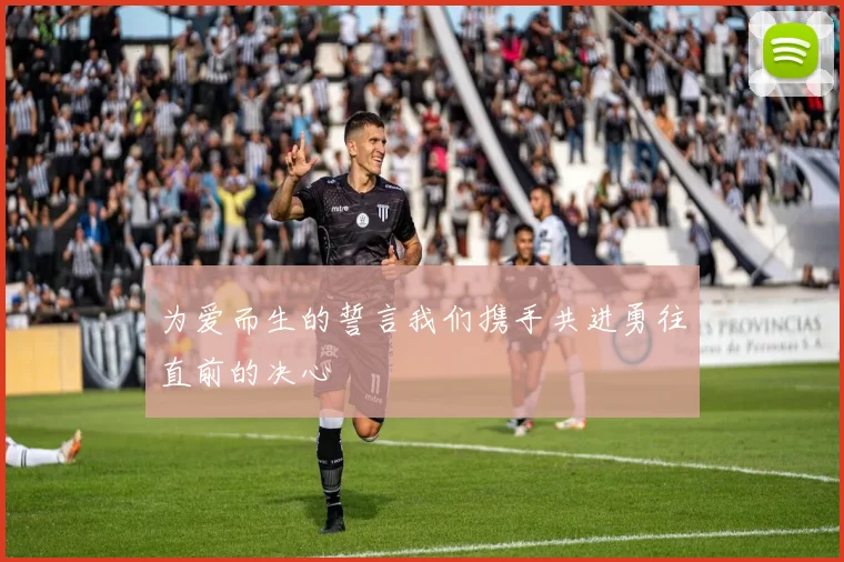 为爱而生的誓言我们携手共进勇往直前的决心