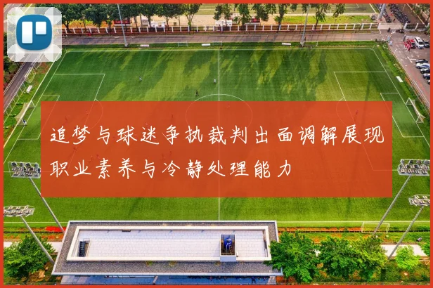 追梦与球迷争执裁判出面调解展现职业素养与冷静处理能力